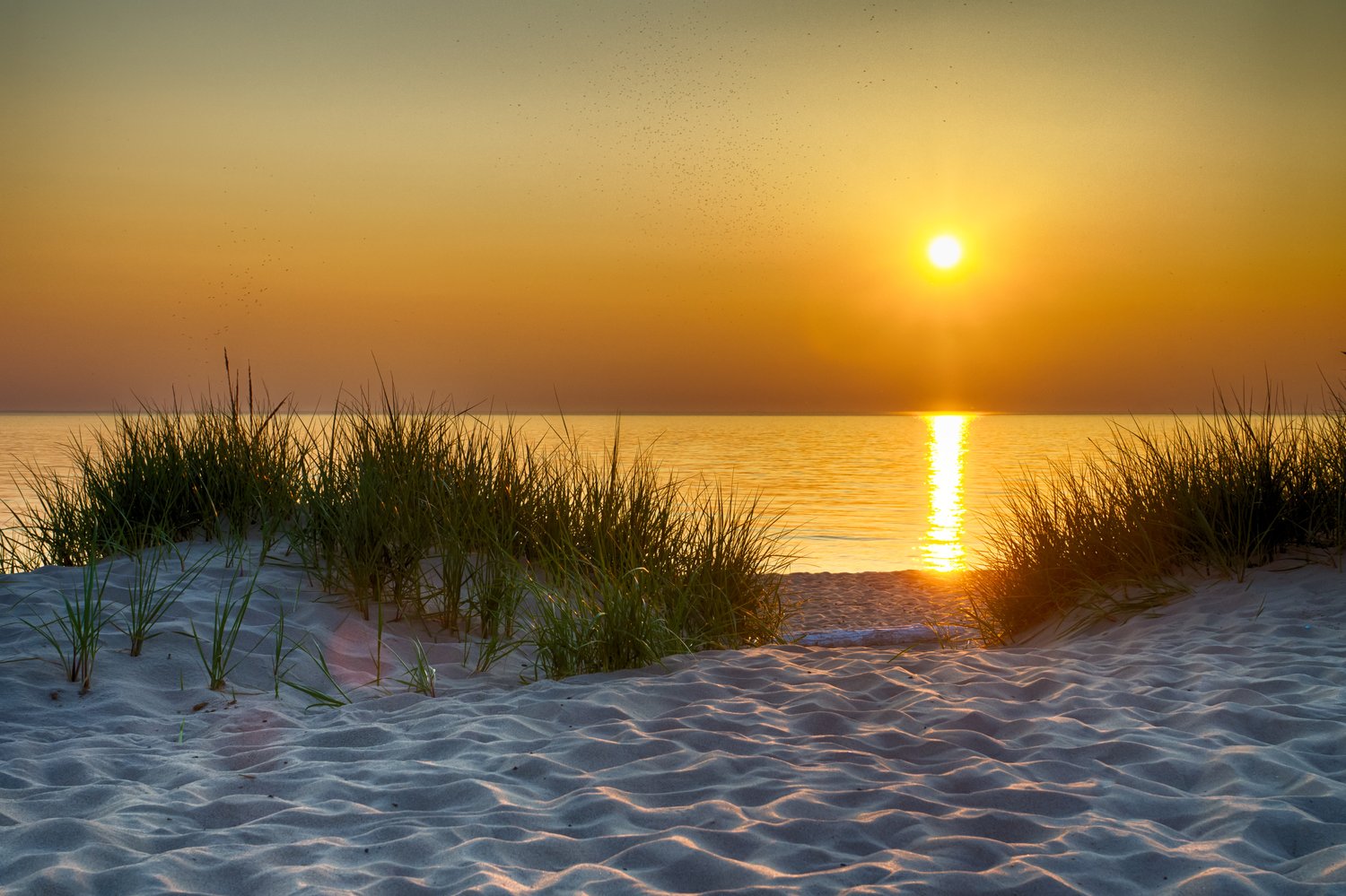 AdobeStock_69455615