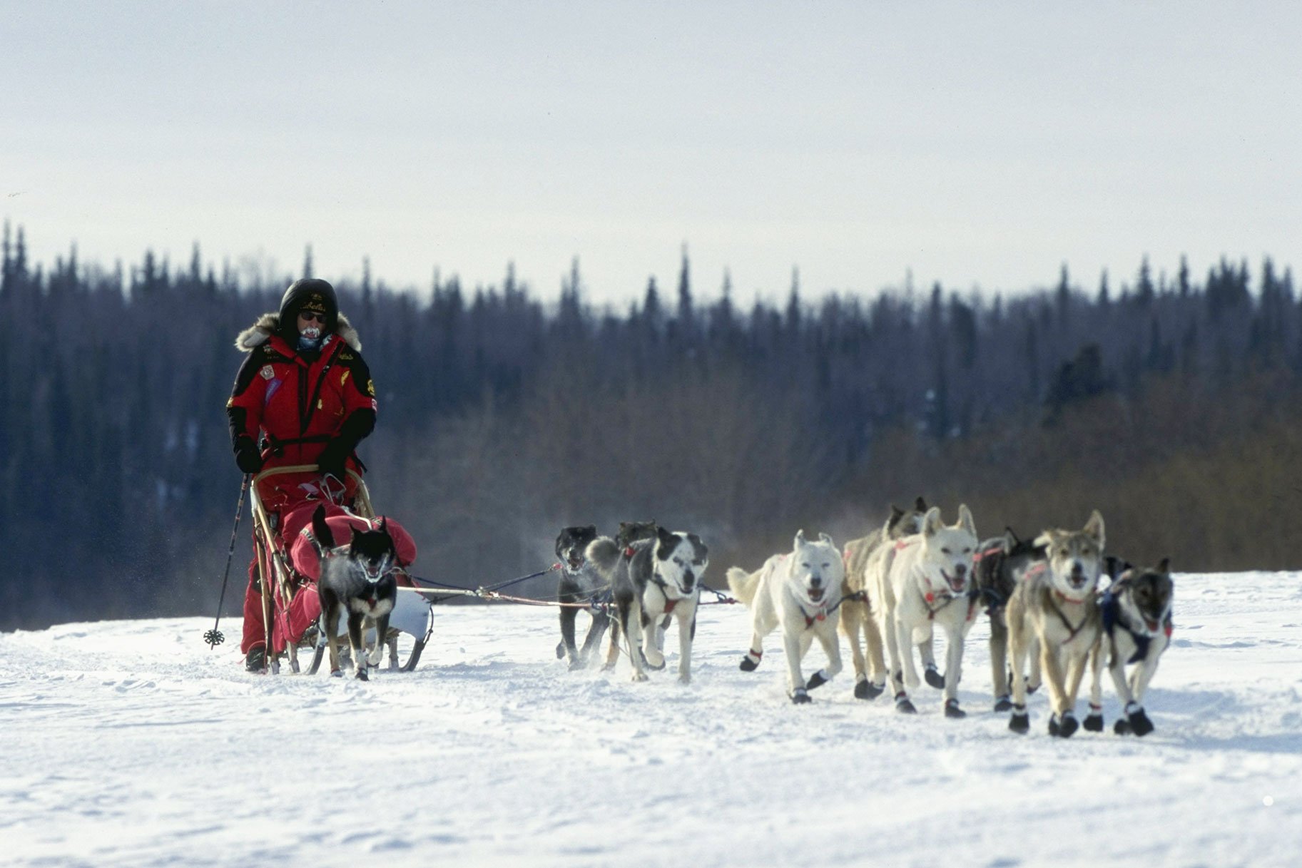 iditarod-2023